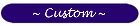 Custom Accessories